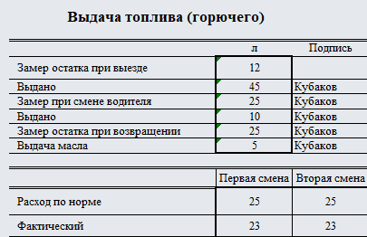 Путевой лист автобуса. Форма 6. Часть 2